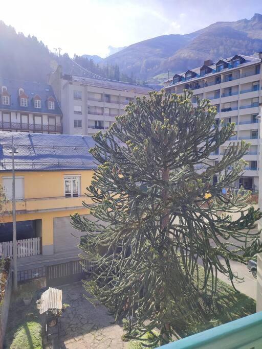 Plein Centre Cauterets, Et Cures * Cauterets